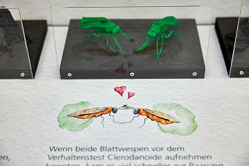 2024 - Ausstellung „Tierisch individuell“ Sonderforschungsbereich NC³/Universität Bielefeld und Münster