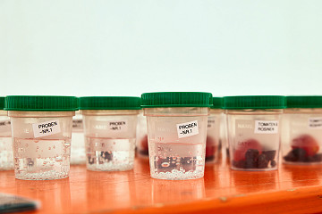 2024 - Workshop Schülerlabor Chemie Universität Konstanz